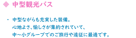 観光バス紹介